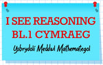 Load image into Gallery viewer, I See Reasoning - Bl.1, Cymraeg
