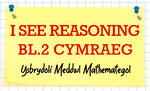 Load image into Gallery viewer, I See Reasoning - Bl.2, Cymraeg
