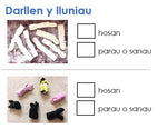 Load image into Gallery viewer, I See Reasoning - Bl.1, Cymraeg
