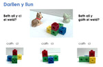 Load image into Gallery viewer, I See Reasoning - Bl.1, Cymraeg

